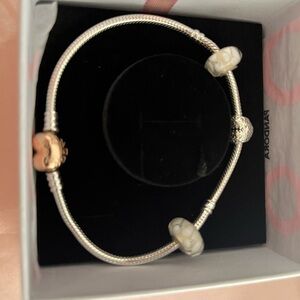 Pandora charm bracelet